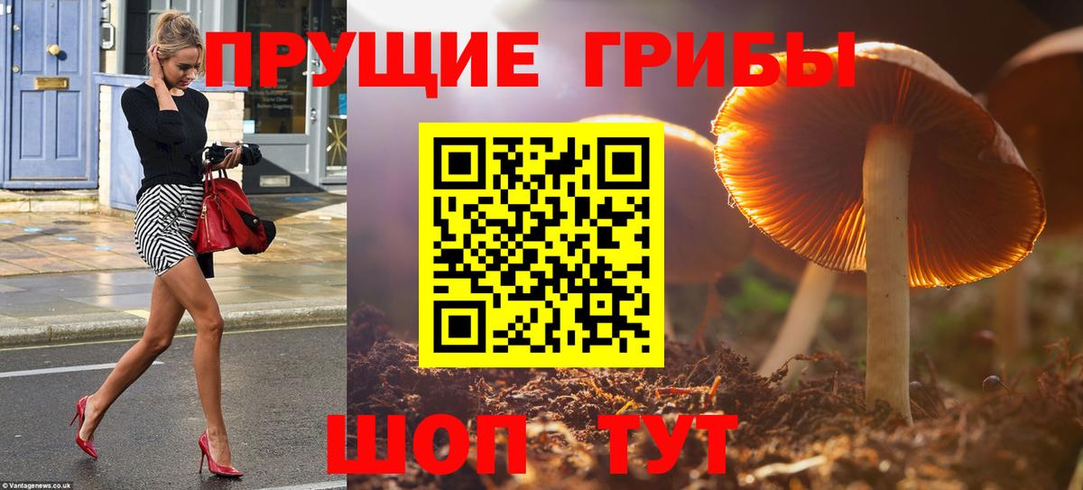 Псилоцибиновые грибы Magic Shrooms Клин