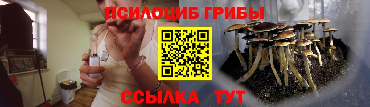 Клин  Галлюциногенные грибы Cubensis  Вход с VPN  Галлюциногенные грибы мицелий 